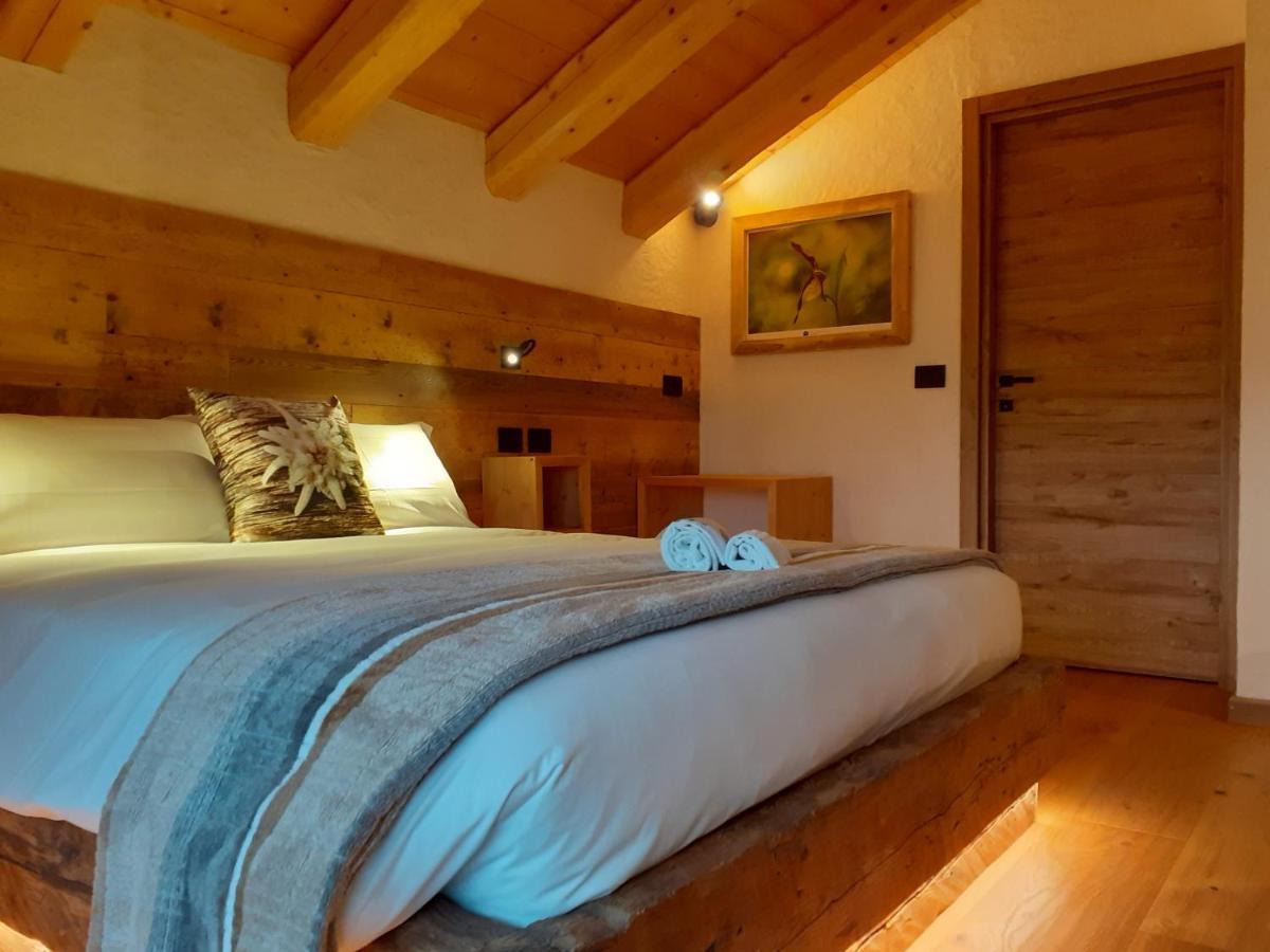 B&B Il Bucaneve Santo Stefano Di Cadore Exterior foto